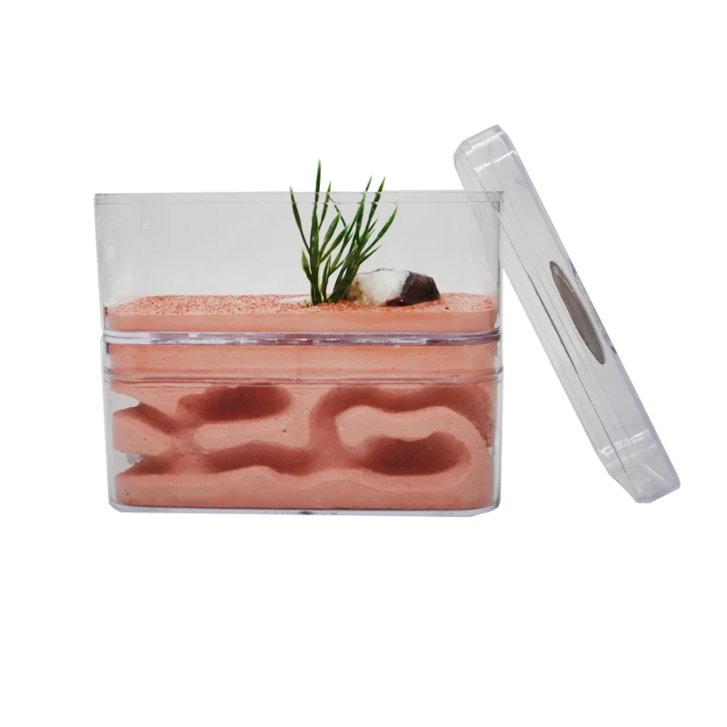 highly moisturizing ant farm plaster ant nest insect box with workshop pet anthill castle natural ecological ant house 12610cm free global shipping