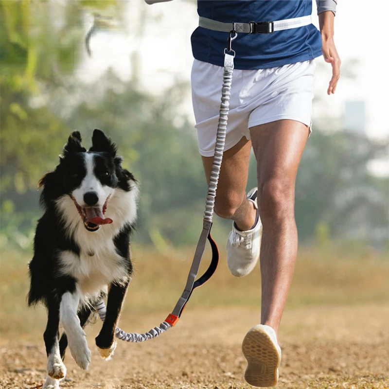

Pet traction rope outdoor sports running reflective double telescopic multi-functional dog rope dog chain pet supplies