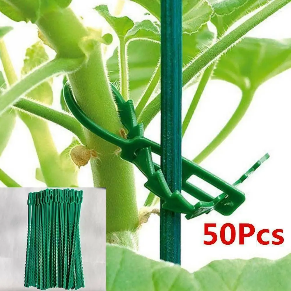 

Регулируемые Многоразовые пластиковые кабельные стяжки для растений, поддержка для альпинизма, крепеж для кустарников, садовые рыбьи стяжки