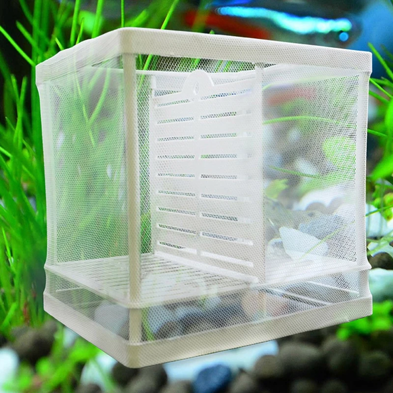 

Изолирующая сетчатая коробка с присоской, дизайн для разведения рыб, подвесные аксессуары для аквариума