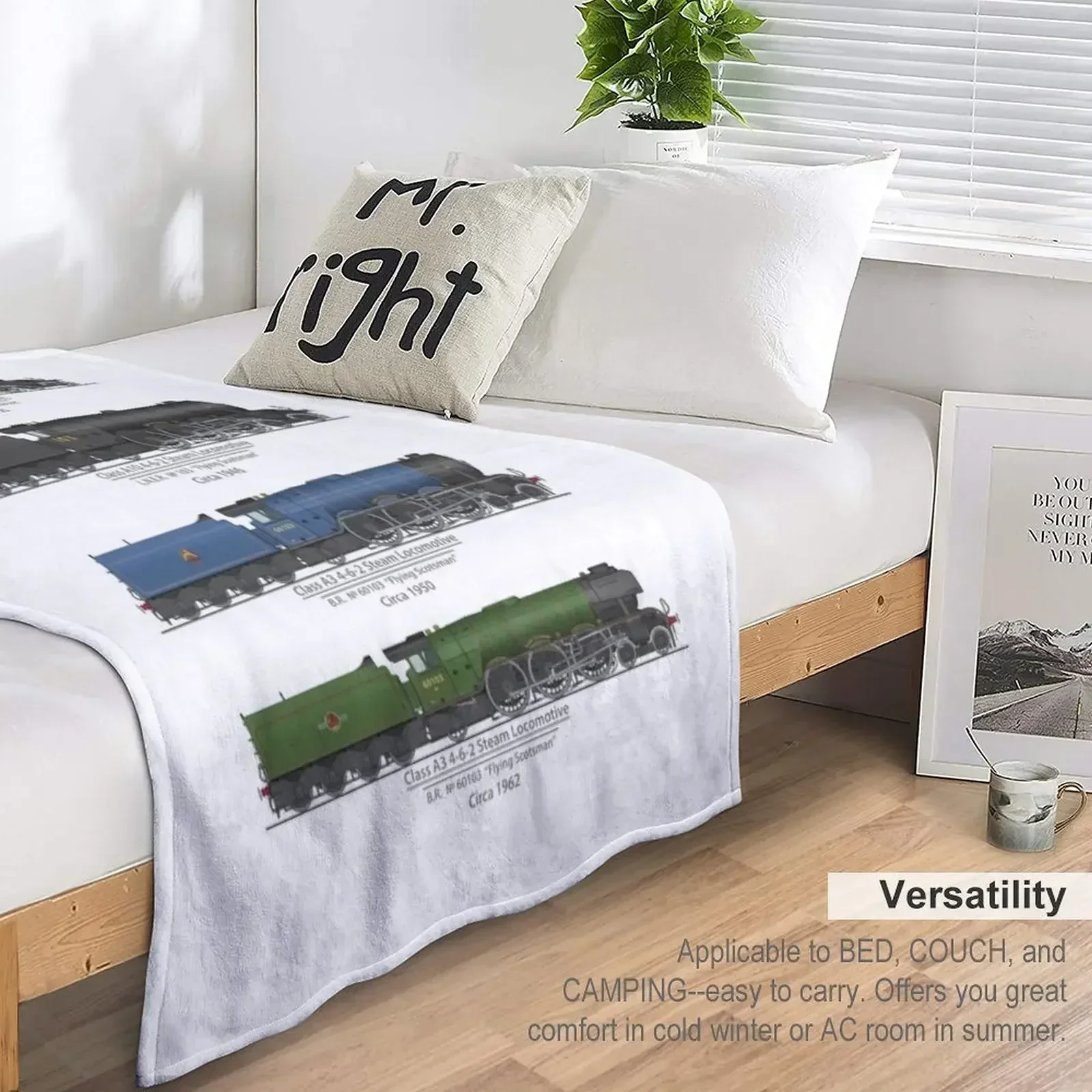 Flying Scotsman Artwork 1925-1962 Пледы Туристическая кровать Модные красивые тяжелые одеяла
