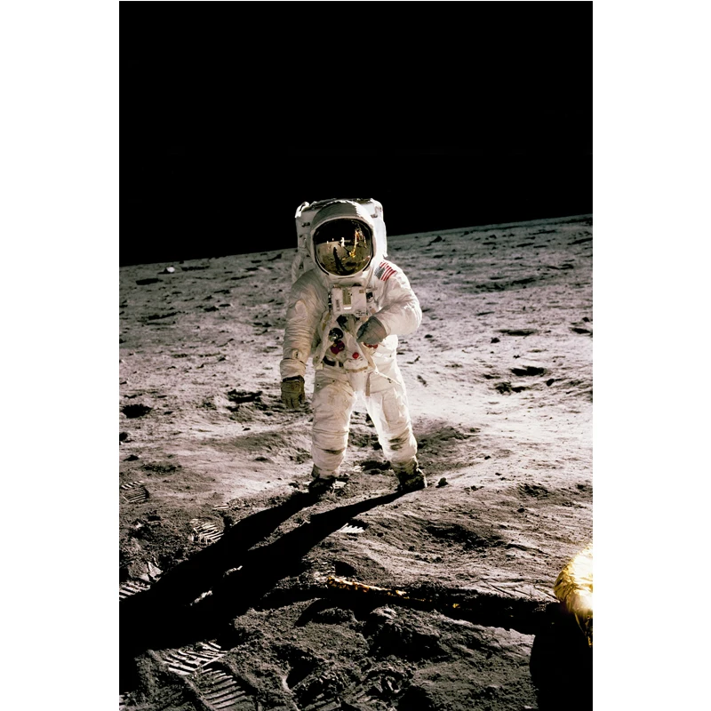 

Классический постер астронавты посадка на луне на тканевом полотне