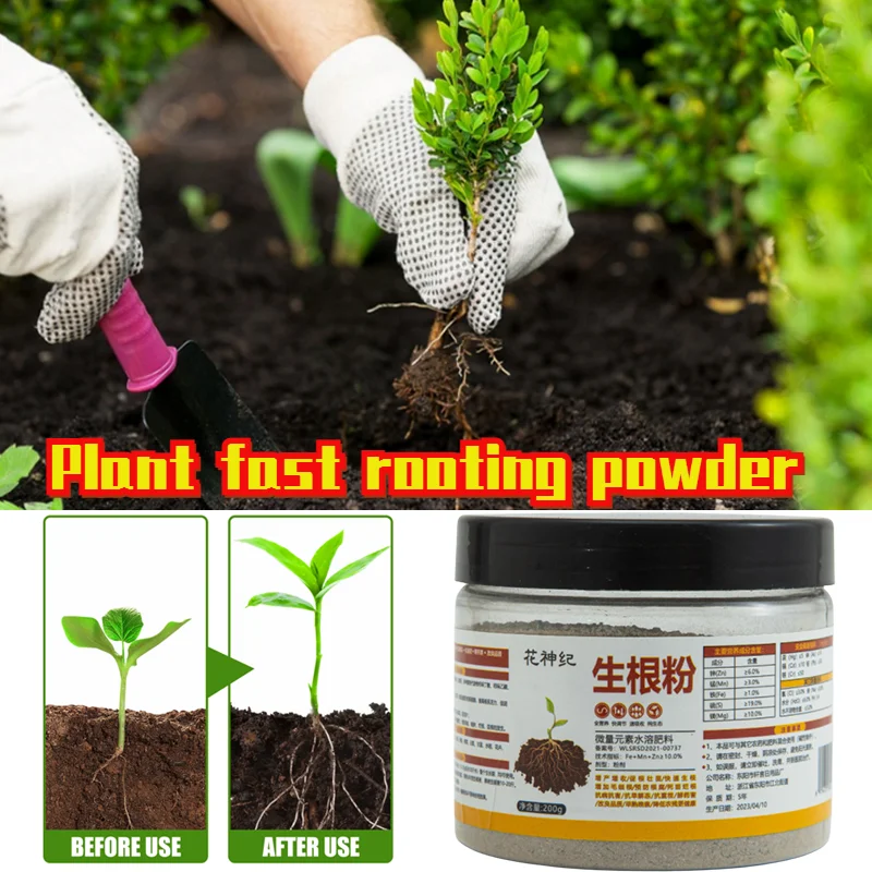 

200g Chlorophyll Plant Hair Root Growth Active Enzyme Ingredients Safe Plant Nutrition Powder Containing Bone Meal Organic