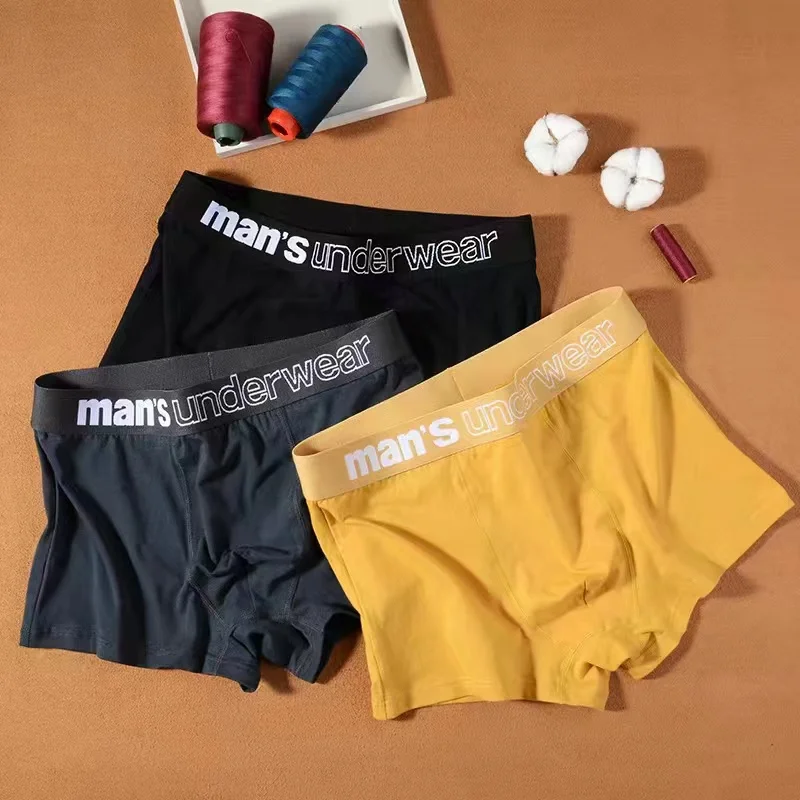 Boxer Men's Underwear Boxers  Men's Cotton Fashion Underpants  man Sport Large  flat Shorts Plus Size Underwear Boxers L-7xl