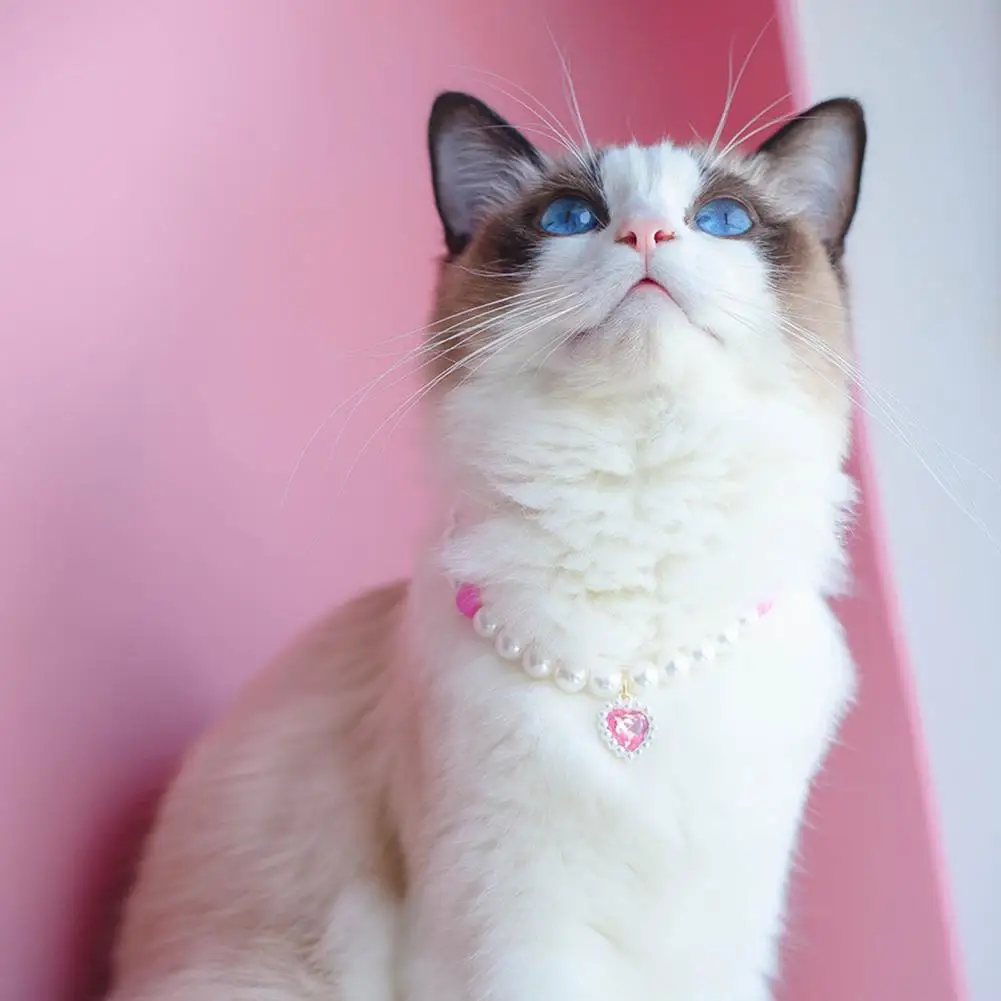 

Pet Necklace Adjustable Ultralight Lobster Clasp Design Friendly to Skin Easy-wearing Dress-up ABS Pet Cat Faux Pearl Necklace w