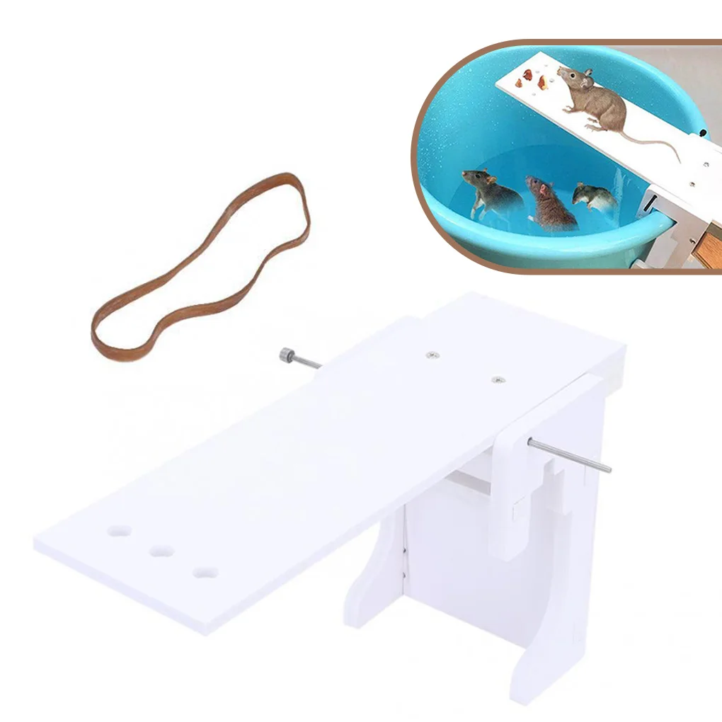 

Mouse Catcher Plastic Home Mouse Pest Catching Tool Auto Reset Reusable Rat Mice Catcher
