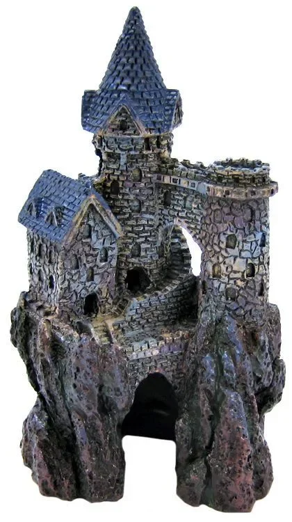 

Magical CastlePP02727
