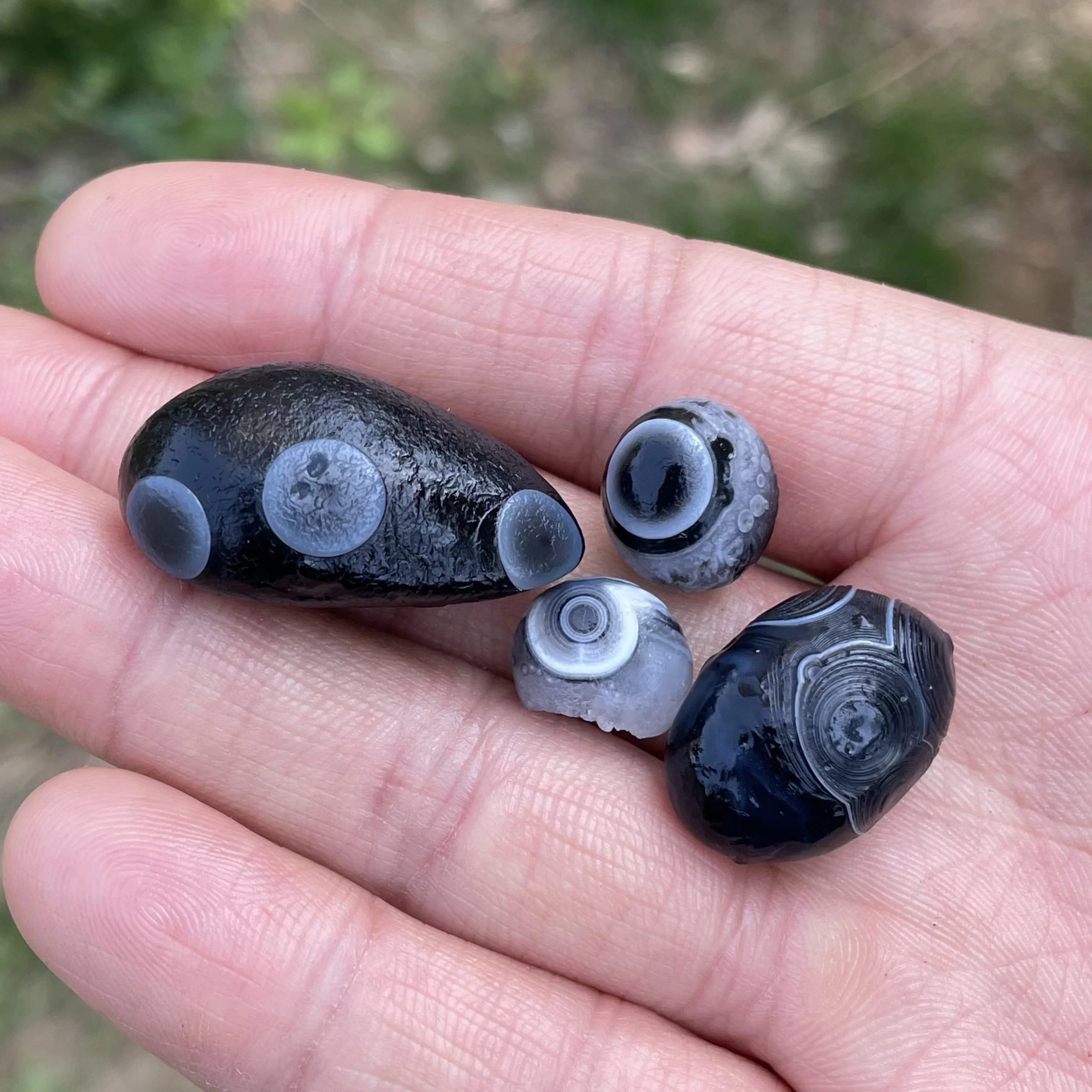 Натуральный черный агат Sardonyx Alxa Gobi Eye Rock минеральный образец энергетический