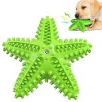 pet dog toys tooth cleaning toy funny interactive elasticity starfish dog chew silicone toys for small large dogs accessories