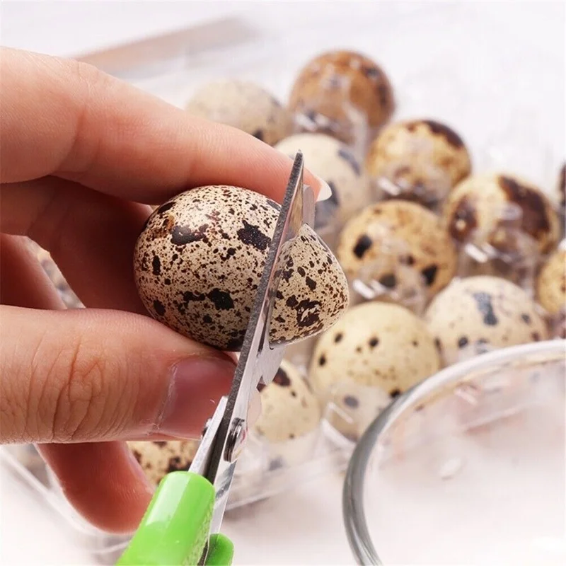 

1PCS Stainless Steel Quail Egg Scissors Egg Opener Kitchen Gadget