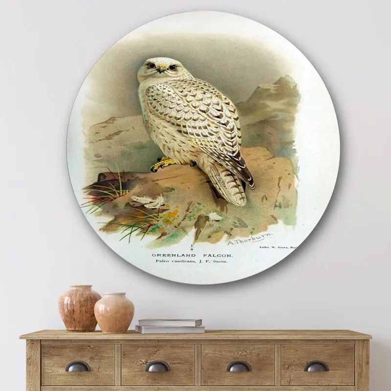 

'Ancient Bird Life VII' Traditional Circle Metal Wall Art 36x36 - Disc of 36