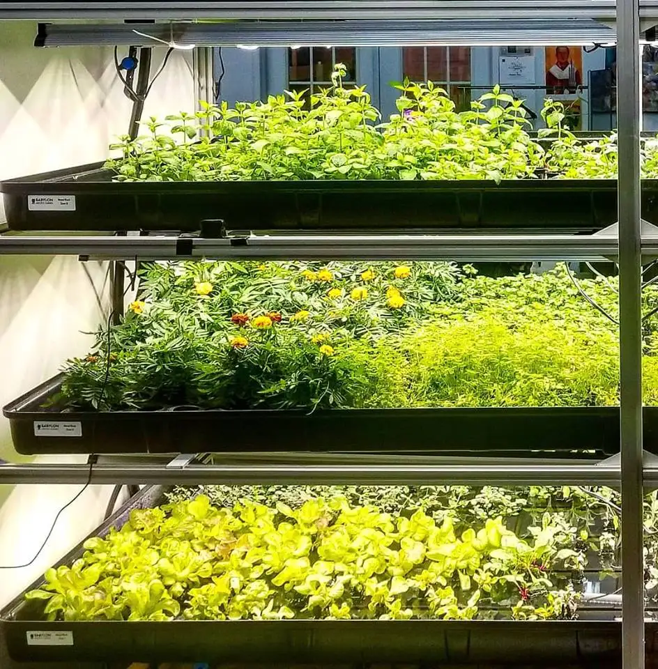 1020 горшков светодиодные наборы пластиковые теплицы выращивание клубники