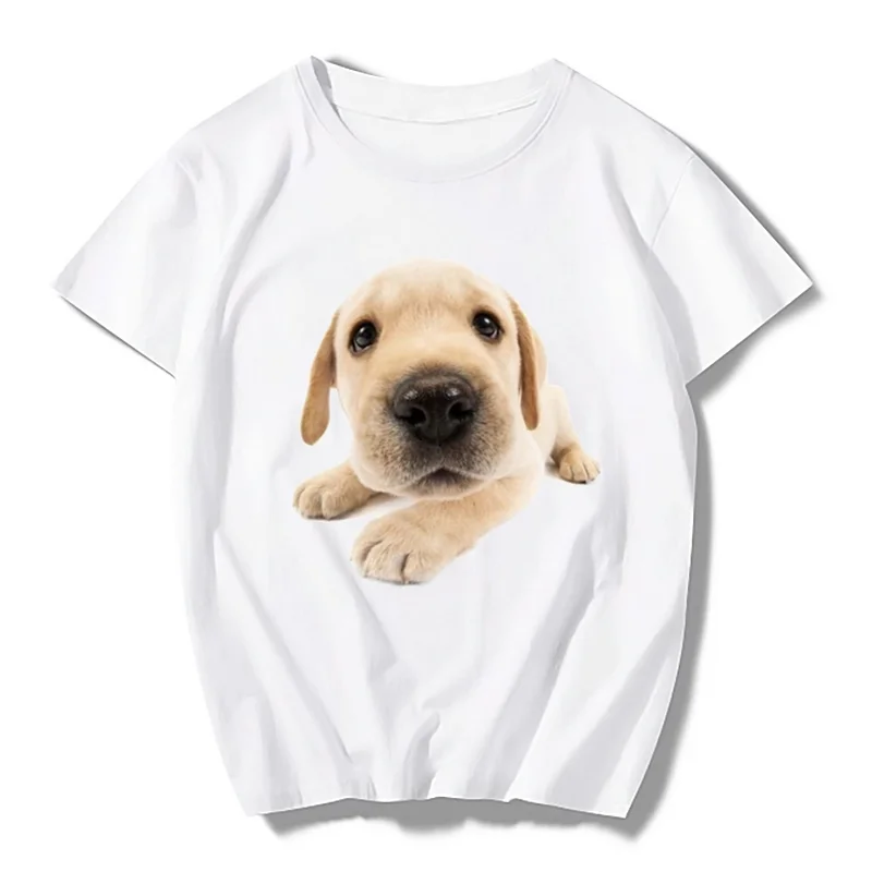 Рисунок 4 - Футболка мужская самостоятельного дизайна