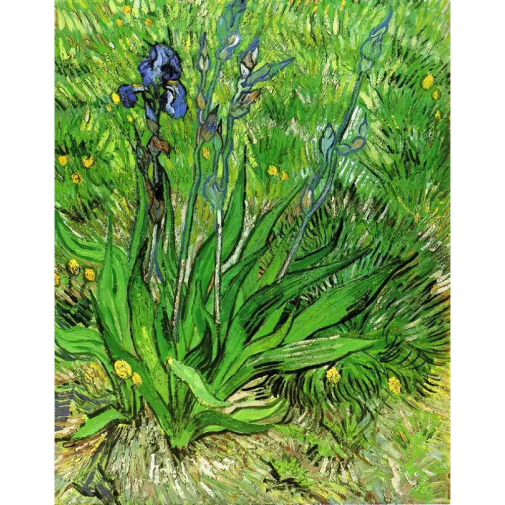 

Vincent Van Gogh paintings on Canvas The Iris hand-painted wall art decor High quality