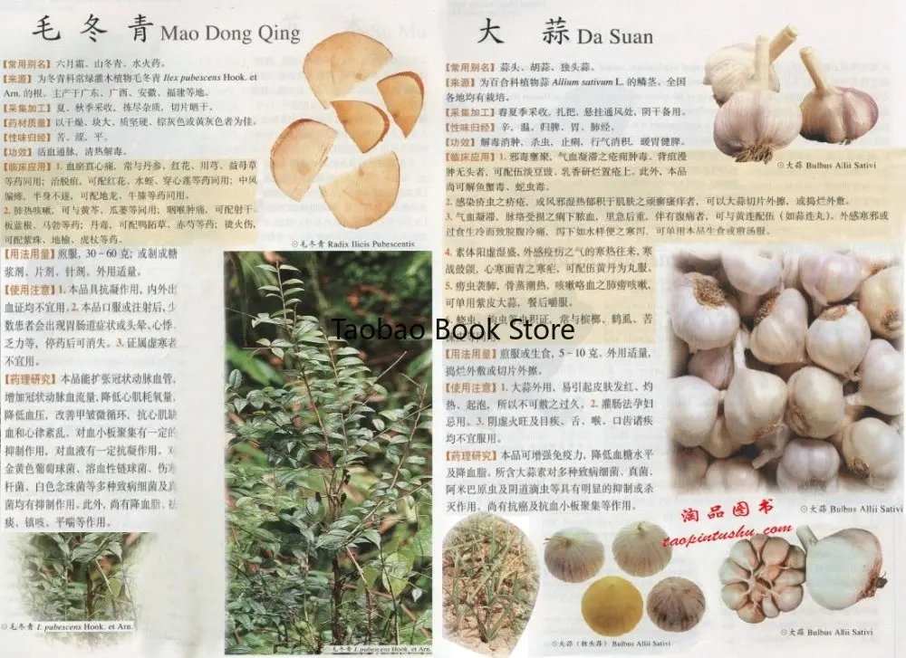 Рисунок 5 - Книга фармакопеи фармацевтическая