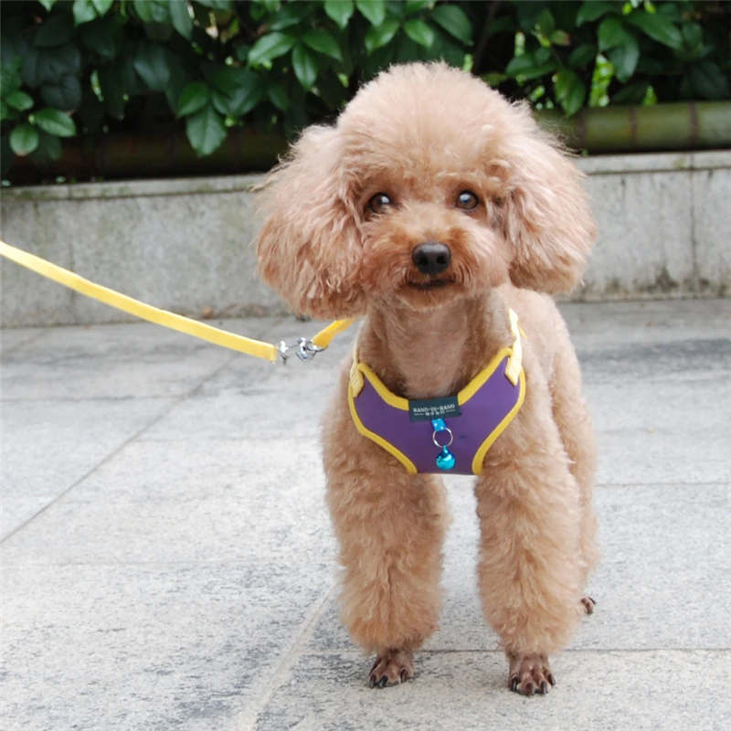 Pet Dog Harness Vest Leash Adjustable Chest Strap Collars Mitated Leather for Small Medium Dogs Accessories |