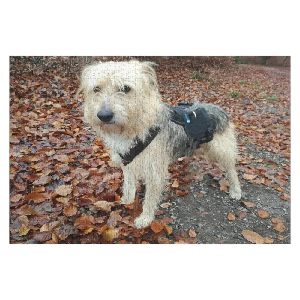 Пазлы Remy Woods 1 персонализированные идеи подарков аксессуары для диорамы новые