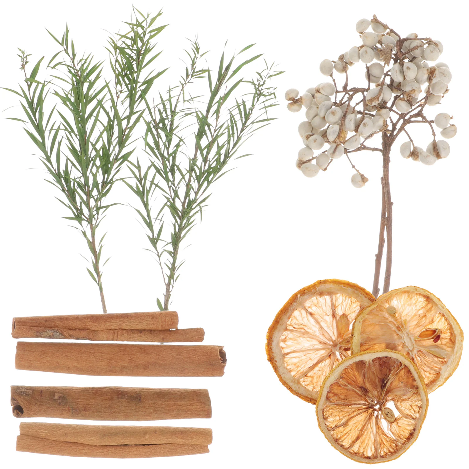 

1 Box Of Dried Flowers Home Decor Centerpiece Vase Filler Party Craft Decoration DIY Specimen DIY Materials