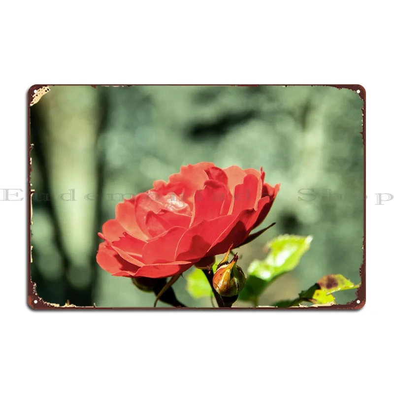 

Красная роза в синем горшке, металлический знак, дизайнерский Настенный декор для гостиной, дизайнерский оловянный плакат для гостиной