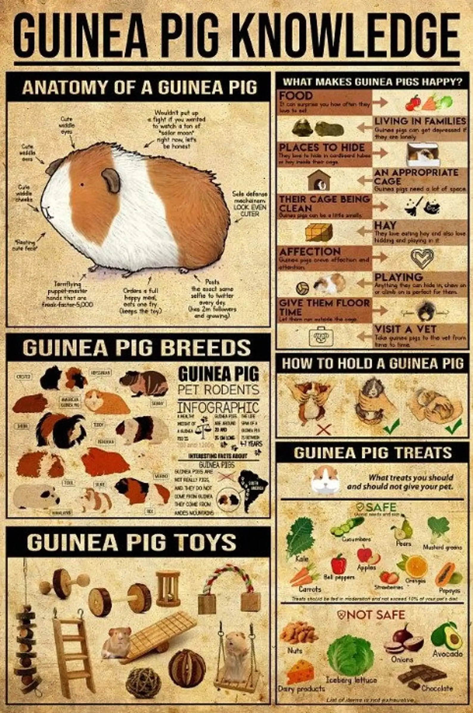 

8x12 Inch Metal Tin Signs Metal Sign Guinea Pig Knowledge Signs, Home Decor, Vintage Wall Art Room Decor Pig Room Decoration