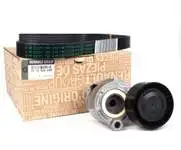 

117203694R для Φ натяжитель + KAYIS (pole) K9K KANGO CLIO II III FLUENCE LOGAN SANDERO DOKKER