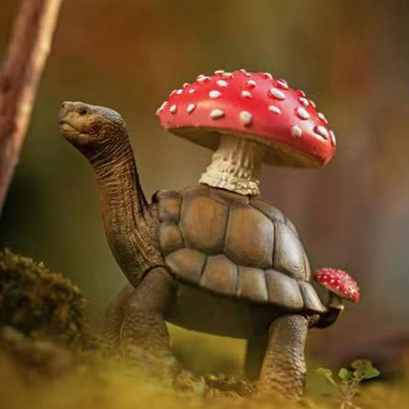 

Round Create Ecology Turtle 7cm Original Taiwan Capsule Toys Kawai Action Anime Figure Cute Ornaments Desk Model Birthday Gifts