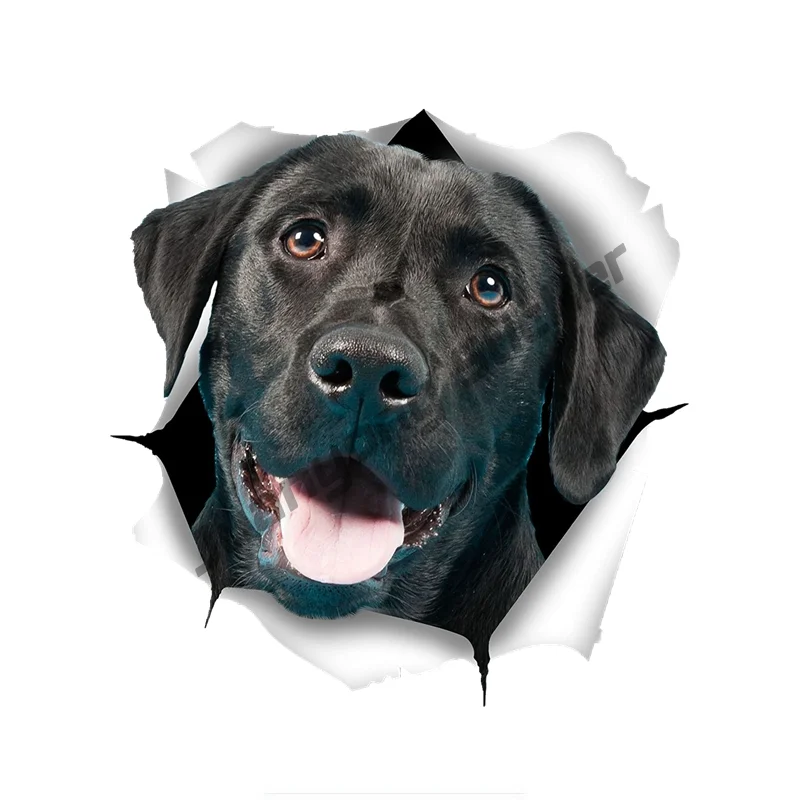

3D Cute Black Labrador Sticker Dog Car Sticker Decal for Wall Car Toilet Room Luggage Skateboard Laptop Car Decoration KK12*12cm
