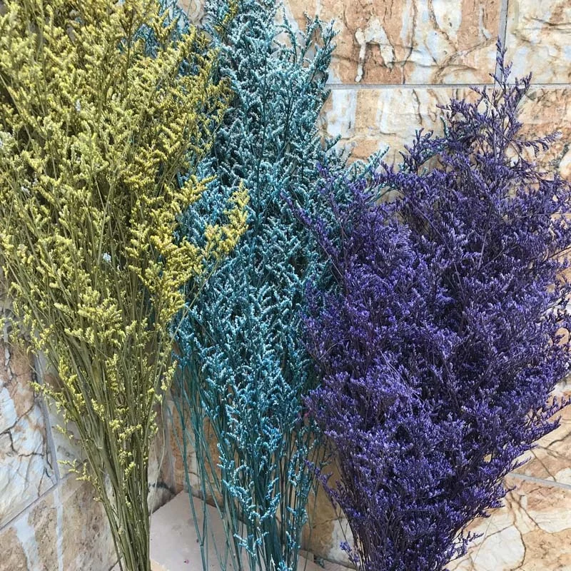 

70g/Bundle,30~45CM Lover Grass Natural Fresh Dried Preserved Dancing Flowers,Real Forever Flower Grass Branch For Home Decor