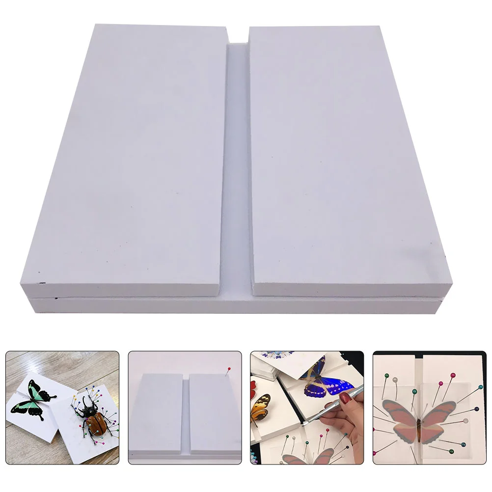 

Display Case Pinning Board Pinning Board Taxidermy Book Butterfly Specimen Earth Tones Specimen Display Board Preservation Kit