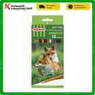 Набор цветных карандашей Пифагор Лесные жители, 12 цветов, пластиковые