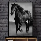 Картина с изображением черно-белых животных, холст с изображением лошадей, настенные плакаты и принты, современные настенные картины для декора гостиной