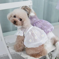 spring and summer new streamer gauze skirt teddy bear dog cat summer sunscreen anti mosquito thin clothes