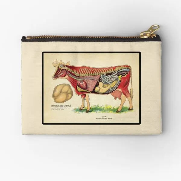 

Vintage Veterinary School Cow Anatomy Ch Zipper Pouches Small Bag Coin Money Socks Storage Packaging Cosmetic Men Wallet