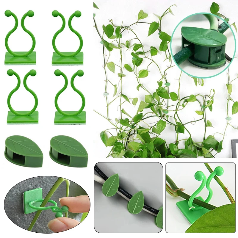 

Plant Climbing Wall Self-Adhesive Hook Fixture Clips Invisible Rattan Clamp Fixture Wall Sticky Hook Plant Support