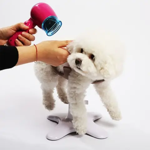Фиксирующий стол для собак