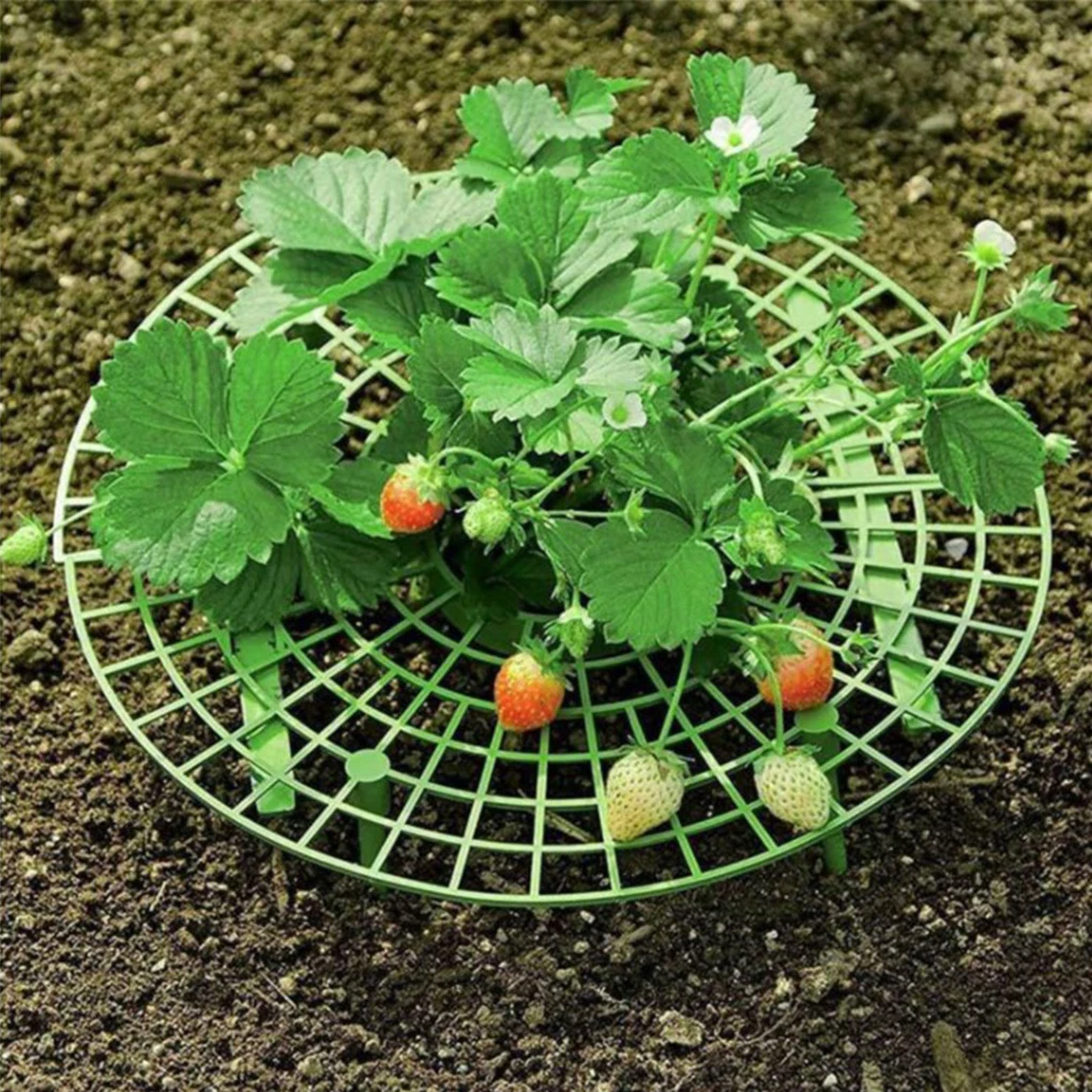 

5-20Pcs Strawberry Plant Supports Keeping Fruit Stand Vegetable Growing Rack Garden Tools for Protecting Vines Avoid Ground