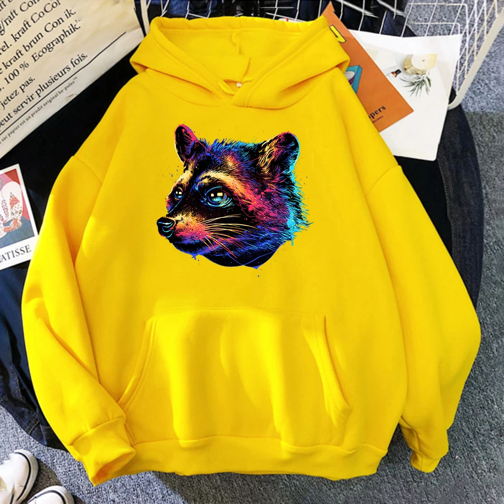 3D Cool Oil Paint Raccoon Hooded Hoodies For Mens Graphic Hip Hop Aesthetic Man Sweatshirt Streetwear Punk Pullover Long Sleeve