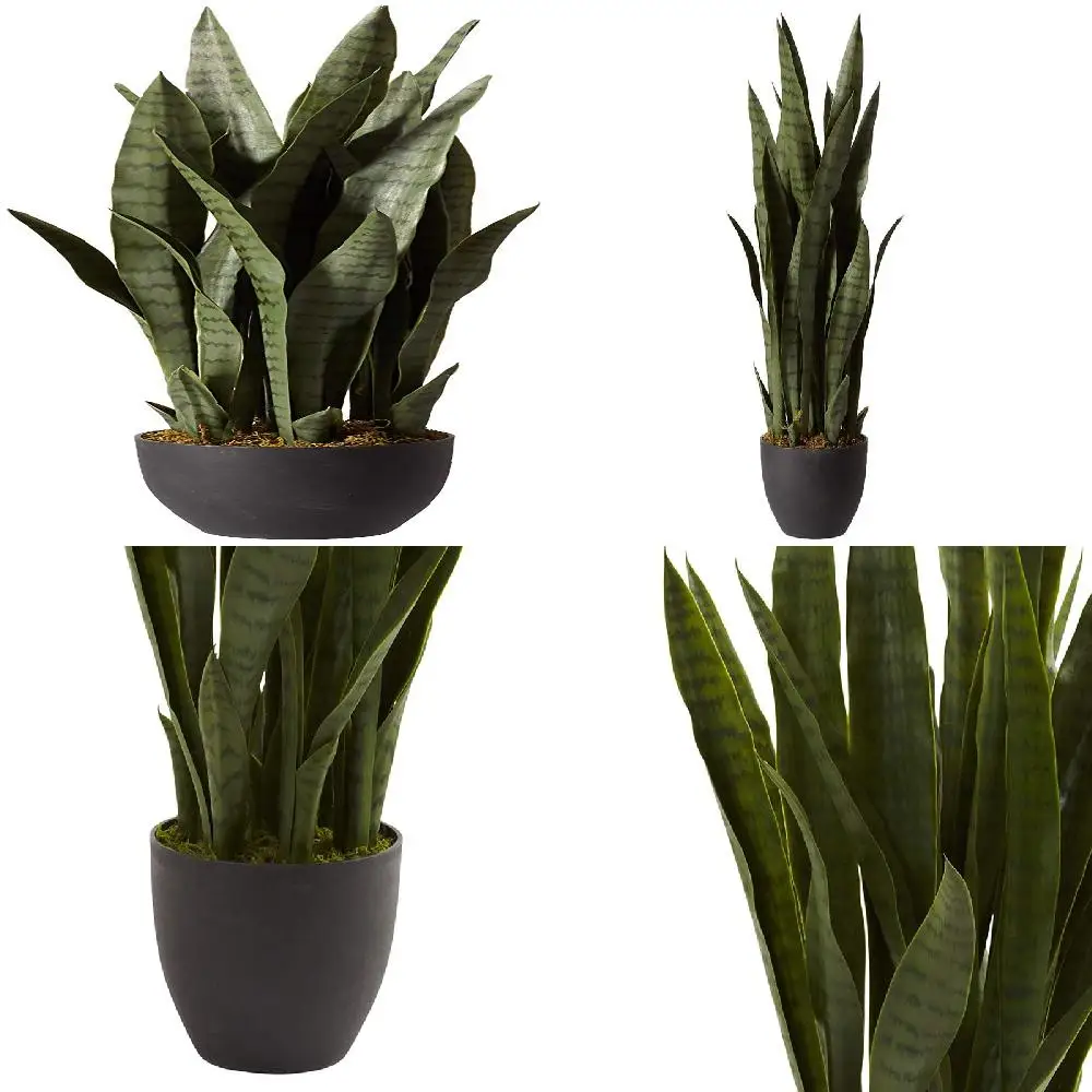 

Charming Green Sansevieria Artificial Plant in a Plastic Planter: Bring a Touch of Nature Indoors with this Natural-Looking Deco