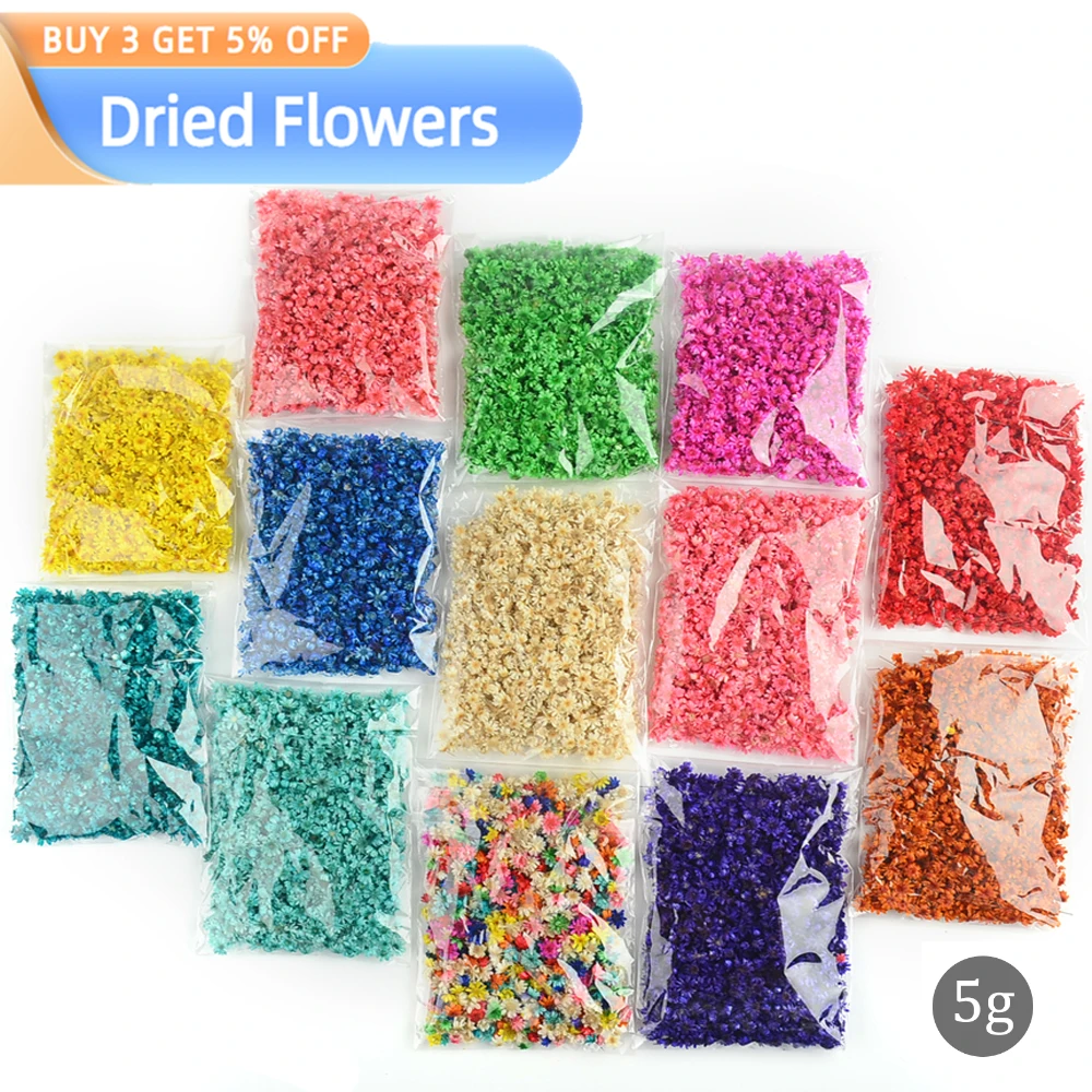 

710PCS Natural Real Dried Flowers Small Star Flower 5g/Bag DIY Art Craft Epoxy Real Eternal Life Flowers Jewelry Home Decoration