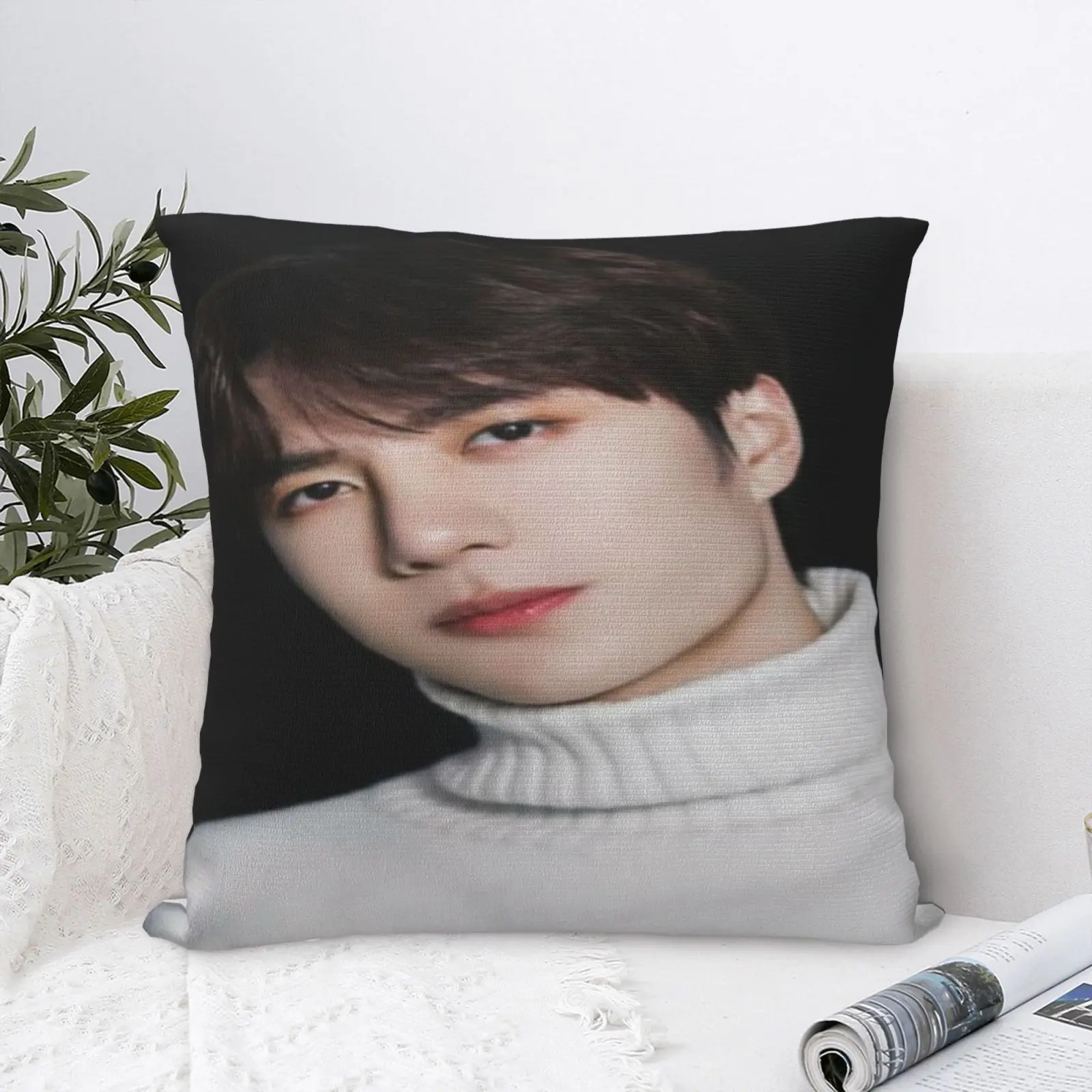 

Yibo Wang 6 Pillow Case Pillow Case Decorative Of Sofa Cushion Pillows Pillow Case With Zip Polyester Cushion Cover Pillowcase