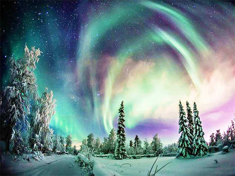 

No.1936 Painting By Numbers DIY Oil Coloring Paint By Numbers Set Gift Drawing By Numbers Canvas Decor New Arrivals