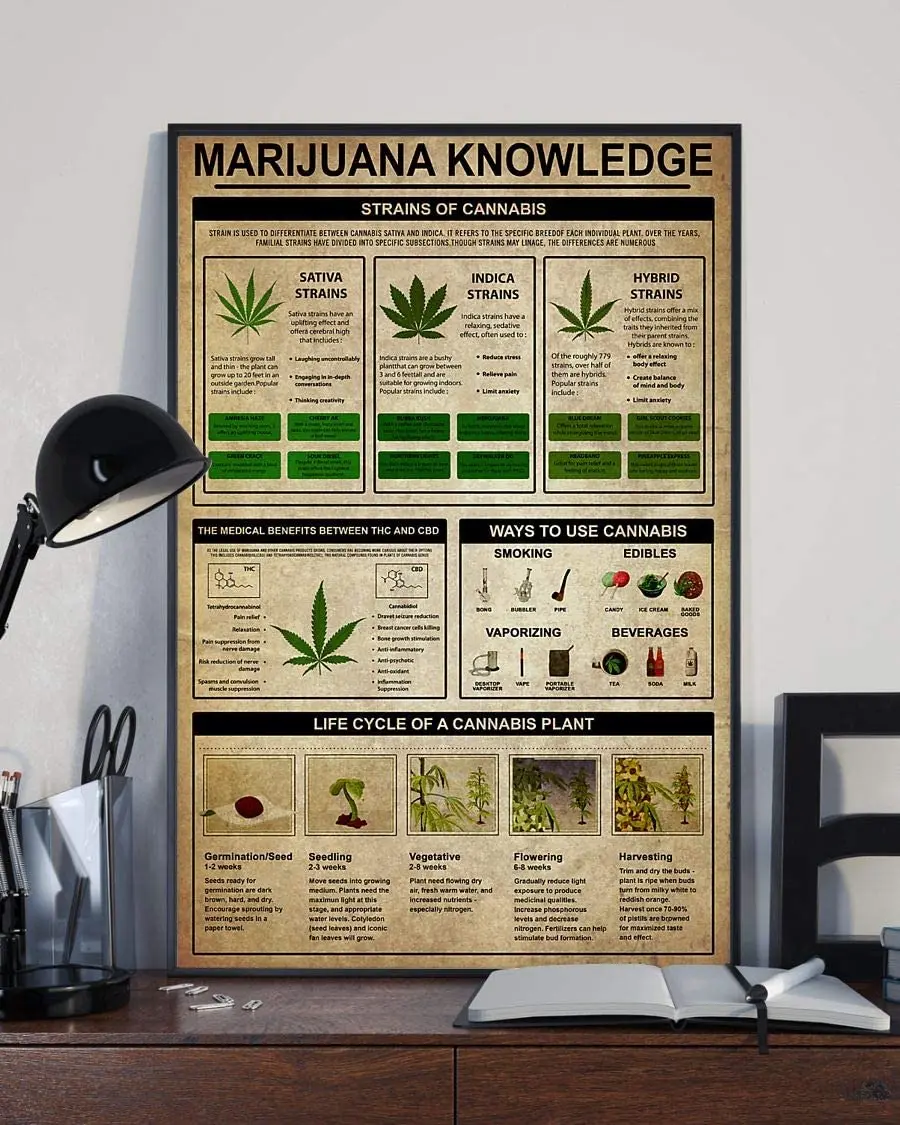 

Pengetahuan Strain Poster Logam Tin Tanda-Tanda Tanda-Tanda Logam Retro Vintage