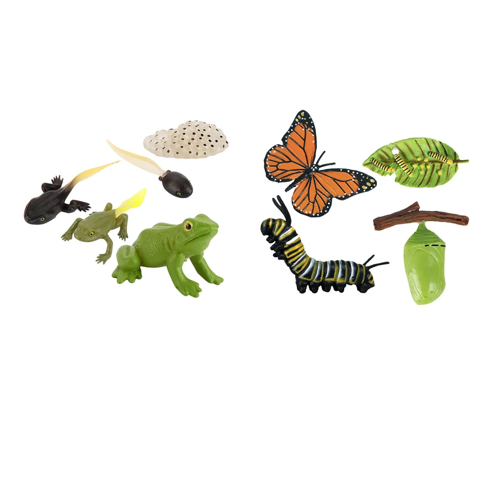 Модель цикла роста жизни животных игрушки-фигурки бабочка-лягушка модель