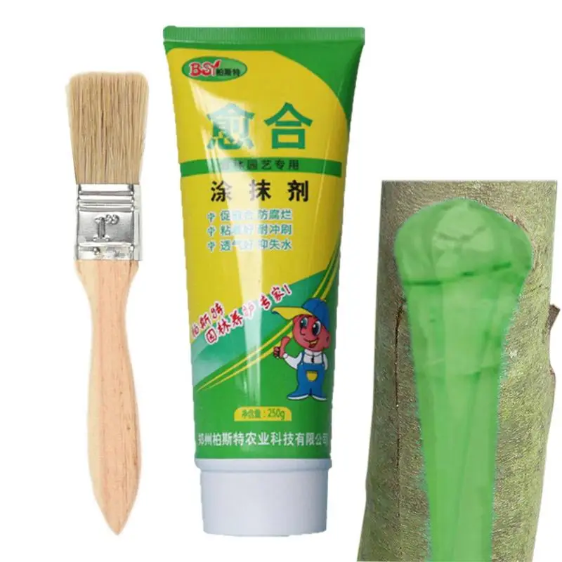 

Pruning Sealer 250g Pruning Compound Sealer With Brush Tree Wound Bonsai Cut Paste Smear Agent Multifunctional Tree Repair Agent