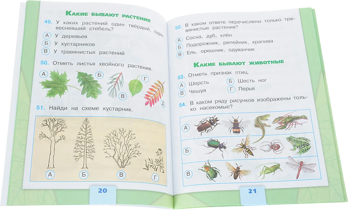 Окр мир плешаков тесты ответы. Тесты окружающий мир 2 класс школа России 1 класс Плешаков. Проверочные работы по окружающему миру 2 класс Плешаков школа России. Тесты и проверочные работы по окружающему миру 2 класс школа России. Плешаков а. а. "школа России. Окружающий мир. Тесты. 2 Класс".