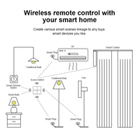 Сценарный выключатель ZigBee#5
