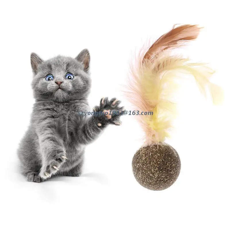 

Pet Catnip Toys Chew Toys Catnip Ball Toys with Feather Pet Mint Treats