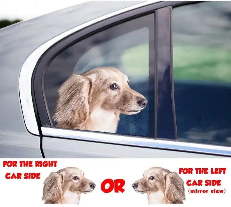 

Long hair cream dachshund sticker , Long hair cream dachshund decal, xmas gift