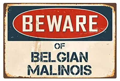 

Остерегайтесь винтажных виниловых фотографий живописного бельгийского мальсика 8x12