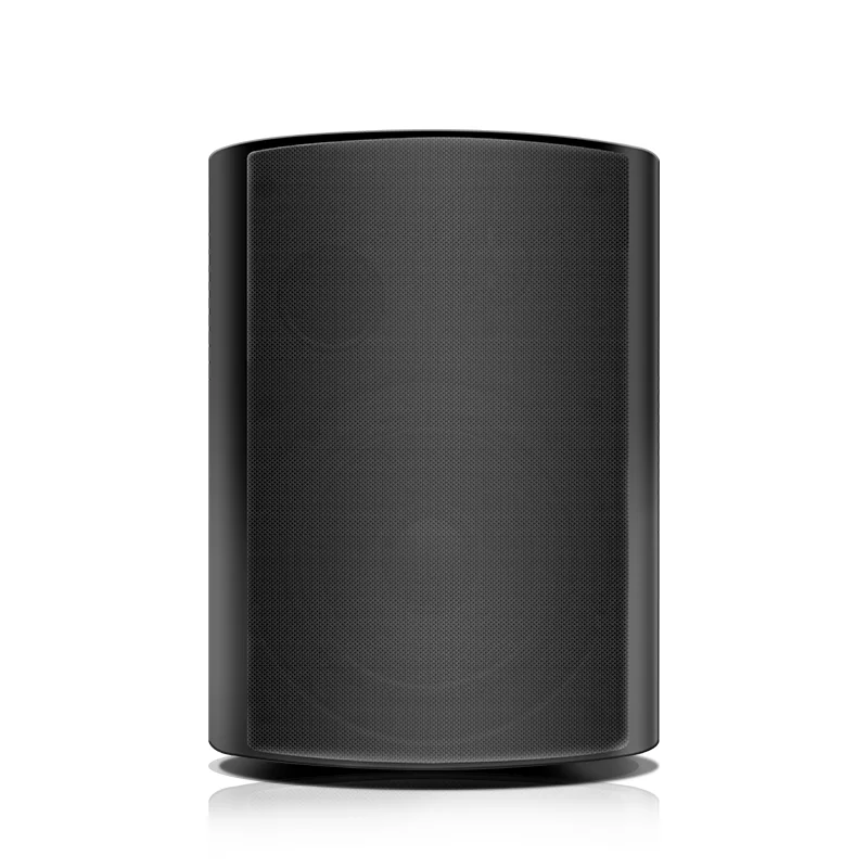 

Беспроводные водонепроницаемые динамики с поддержкой Wi-Fi и Bluetooth